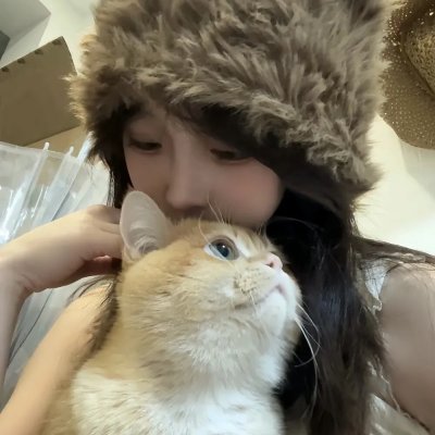 嘟嘟猫观察日记